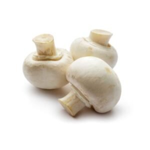 Mushroom Button — premium quality
