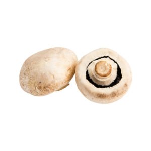 Mushroom Giant Netherlands 500g — premium quality