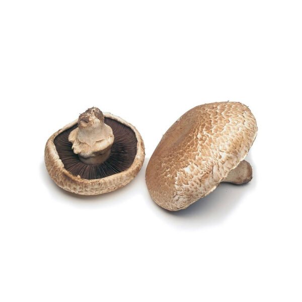Mushroom Portabella Netherlands 500g Mushroom Portabella Netherlands 500g — premium quality