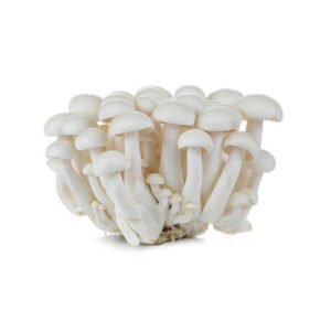 Mushroom Shimeji White Netherlands 150g Pack — premium quality