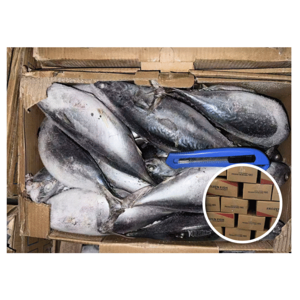 Natural Catch Frozen Bonito Fish 500