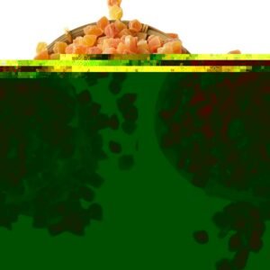 Natural Color Air Dried Papaya Diced