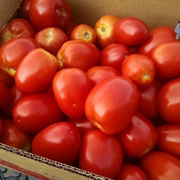 Natural Fresh Cherry Tomatoes Half Tomato