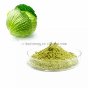 Natural Green Cabbage Extract Powder Dried