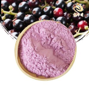 Natural Organic Elderberry Fruit Powder Bulk