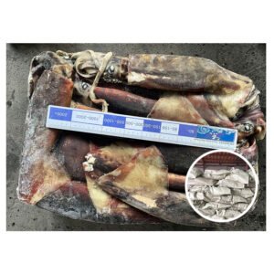 New Catching Seafrozen Calamari Squid Dosidicus
