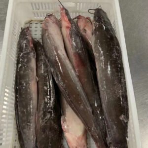 New Frozen Bulk Whole Catfish Supplier