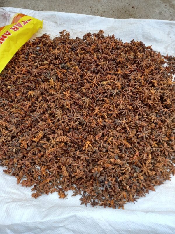 New Product Star Anise Wholesale Broken New Product Star Anise Wholesale Broken