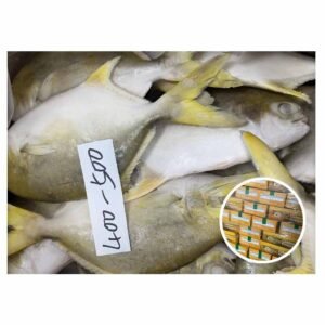 New Season Farmed Fish Golden Pompano