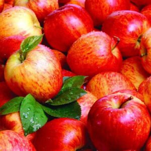 Newly Fresh Organic Fuji Apples for