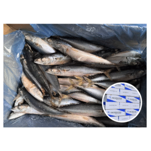 October Catching High Freshness 200 300g