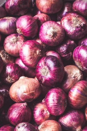 Onion — premium quality