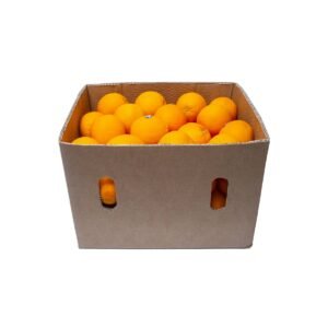 Orange Valencia Egypt 14 kg Box — premium quality