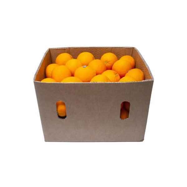 Orange Valencia Egypt 14 kg Box Orange Valencia Egypt 14 kg Box — premium quality
