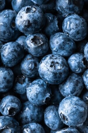 Organic Blueberry — premium quality