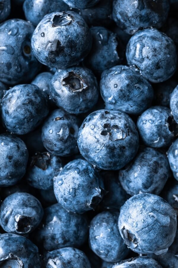 Organic Blueberry Organic Blueberry — premium quality