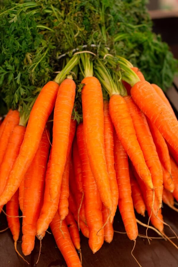 Organic Carrot Organic Carrot — premium quality