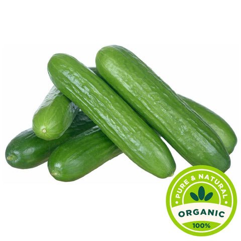 Organic Cucumber Packet 500g Organic Cucumber Packet 500g — premium quality