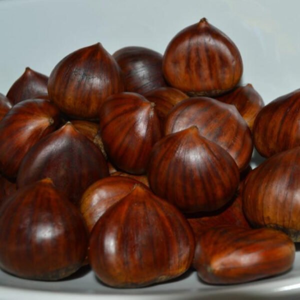Organic Dried Roasted Chestnuts Grade a