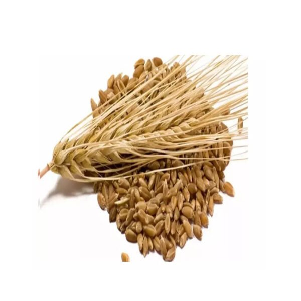 Organic First Grade High quality Dried
