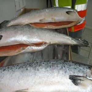 Organic Trans Fat Free Low Salt