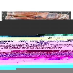 Origin Japan Fish 1 2kg Frozen