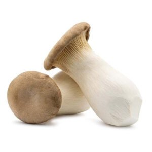 Oyster King Mushroom — premium quality