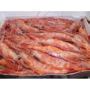 Pandalus Borealis Northern Cold Water Shrimp
