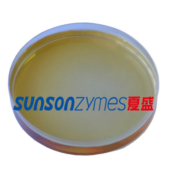 Paper Sizing Enzyme Bio Surface Sizing