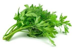 Parsley Leaves 100g — premium quality