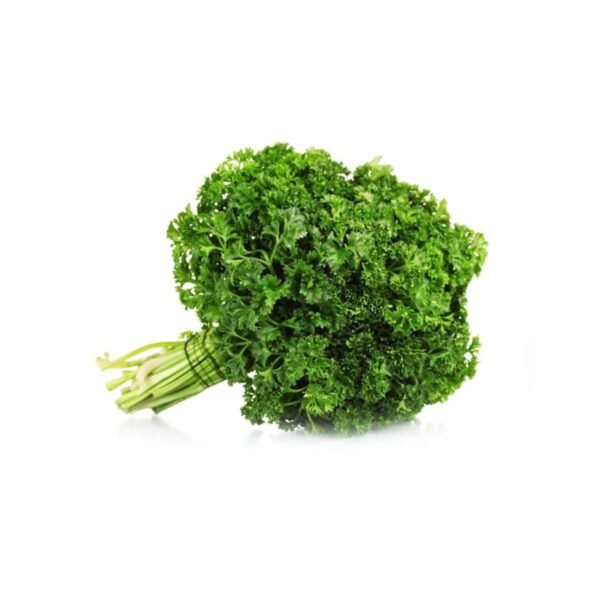 Parsley Netherlands 500g Parsley Netherlands 500g — premium quality