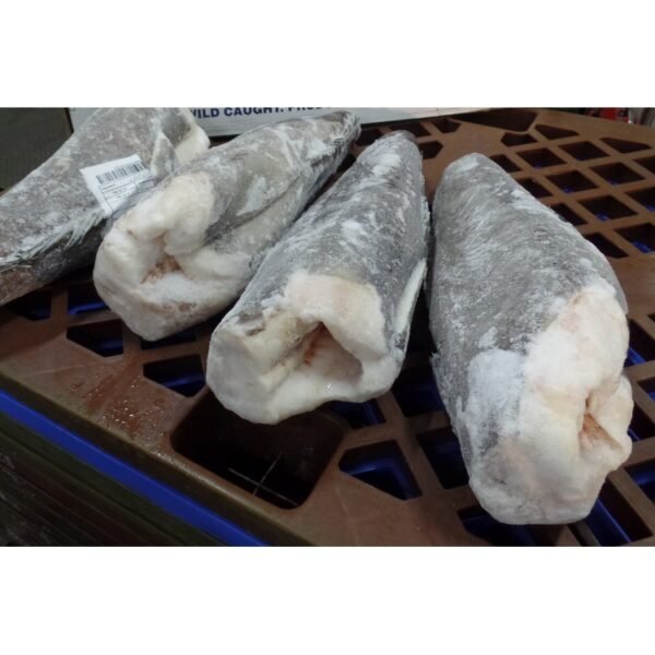 Patagonian Toothfish