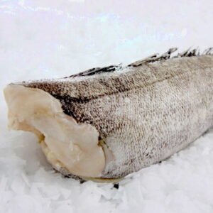 Patagonian Toothfish