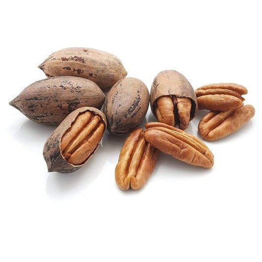 Pecan Nuts With Shell Pecan Nuts With Shell — premium quality