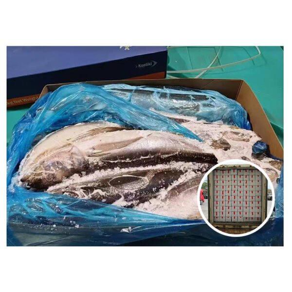 Peru Origin Whole Round Scad Fish Peru Origin Whole Round Scad Fish