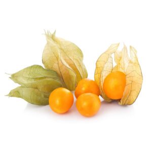 Physalis Colombia 12 Pack — premium quality