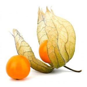 Physalis Colombia 200g — premium quality