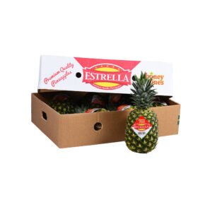 Pineapple Honey Philippines 10 Pieces — premium quality