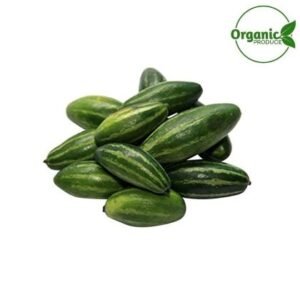 Pointed Gourd Organic — premium quality