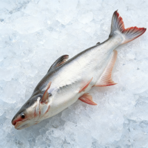 Poisson Pangasius Vietnam IQF Frozen Whole