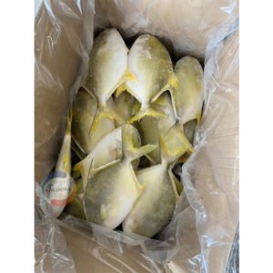 Pompano Golden Fish Frozen Whole 600