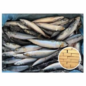 Popular Mackerel Size No 8 15kg