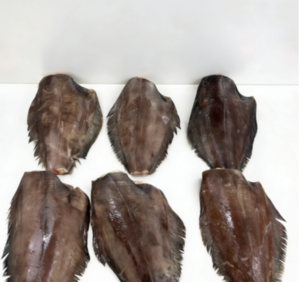 Popular Seafood Frozen Halibut HGT Selling
