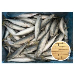 Popular Seafrozen Mackerel Size No 8