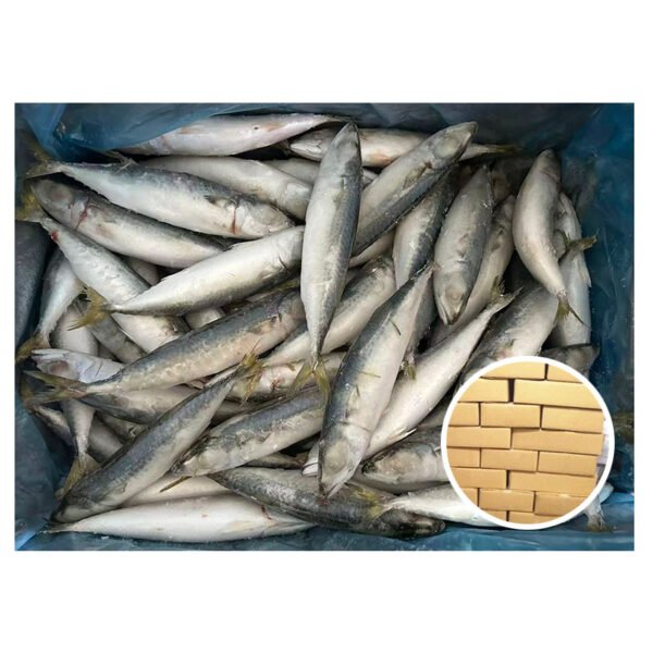 Popular Seafrozen Mackerel Size No 8 Popular Seafrozen Mackerel Size No 8