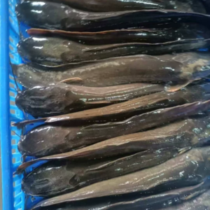 Popular Whole Frozen Catfish From China