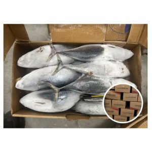 Popular Wholesale Hot for Market Tuna