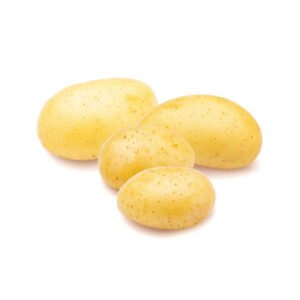 Potato Agria — premium quality