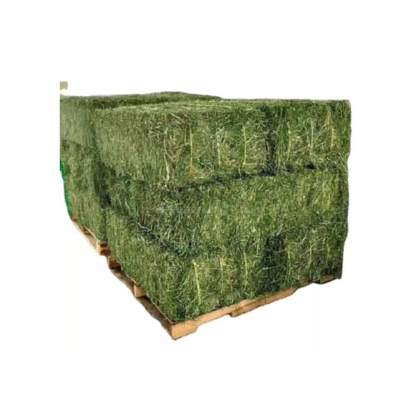 Premium alfalfa hay offered for export