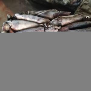 Premium Chinese Seafood Freshly Caught Fishes